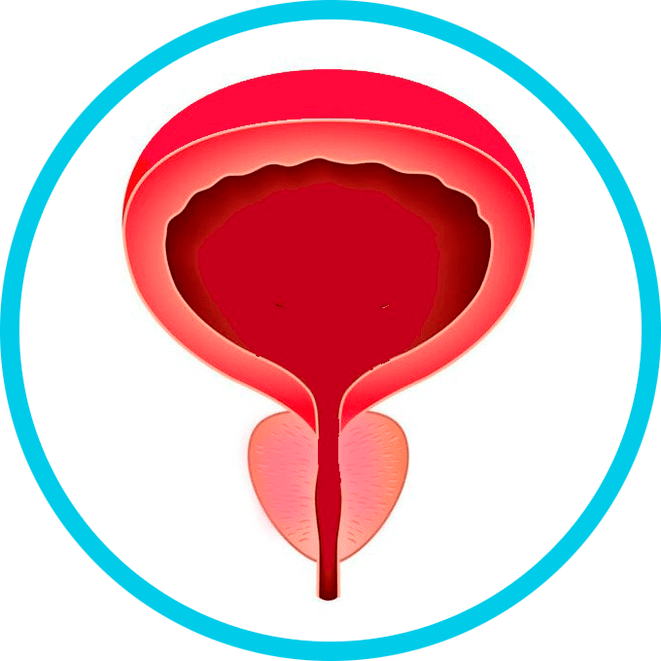 Prevenirea prostatitei